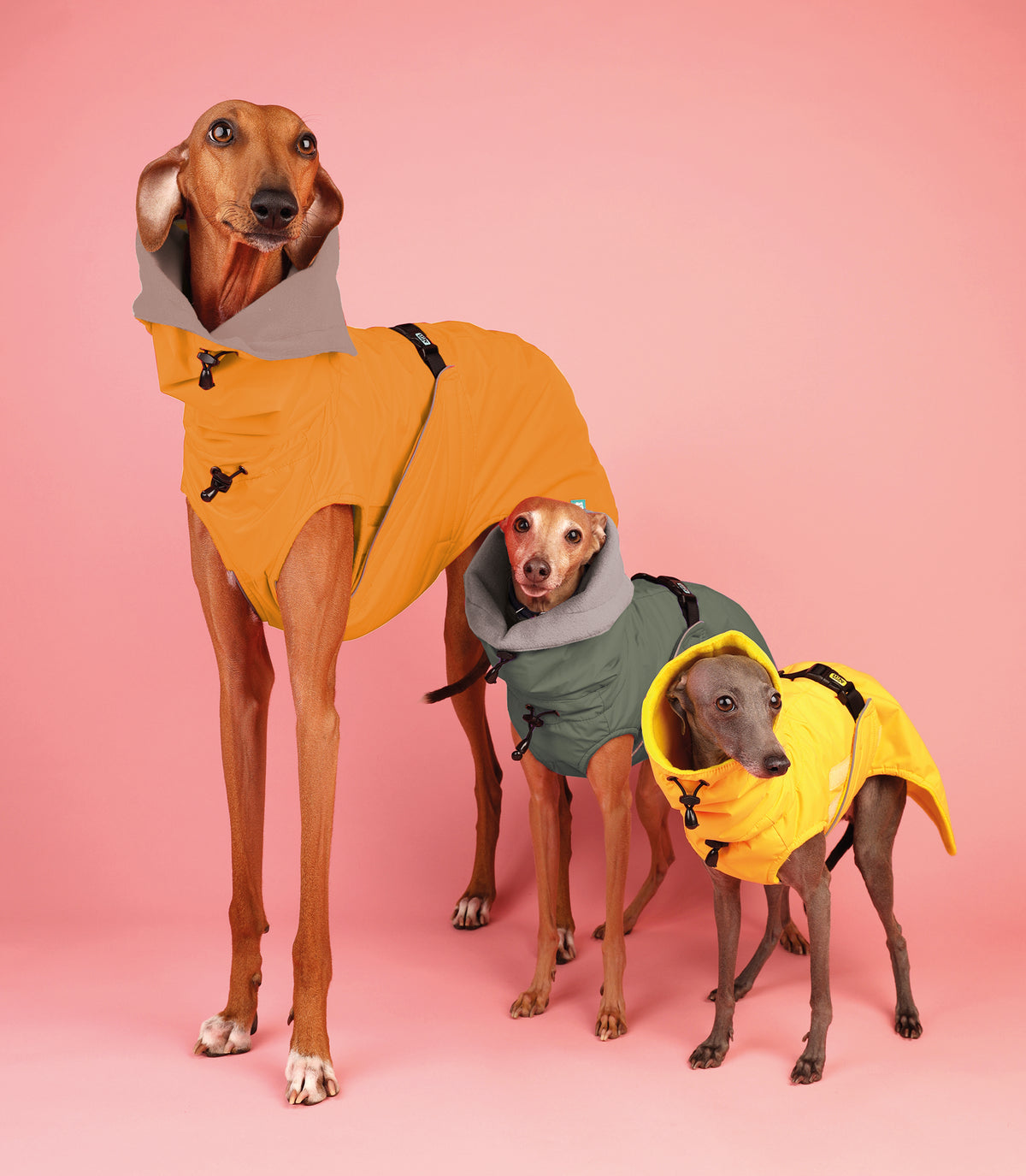 Sleeveless Dog Raincoat "Monocolor" | 24 Sizes, 4 Colours