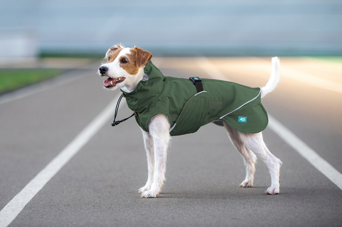 Sleeveless Dog Raincoat "Monocolor" | 24 Sizes, 4 Colours