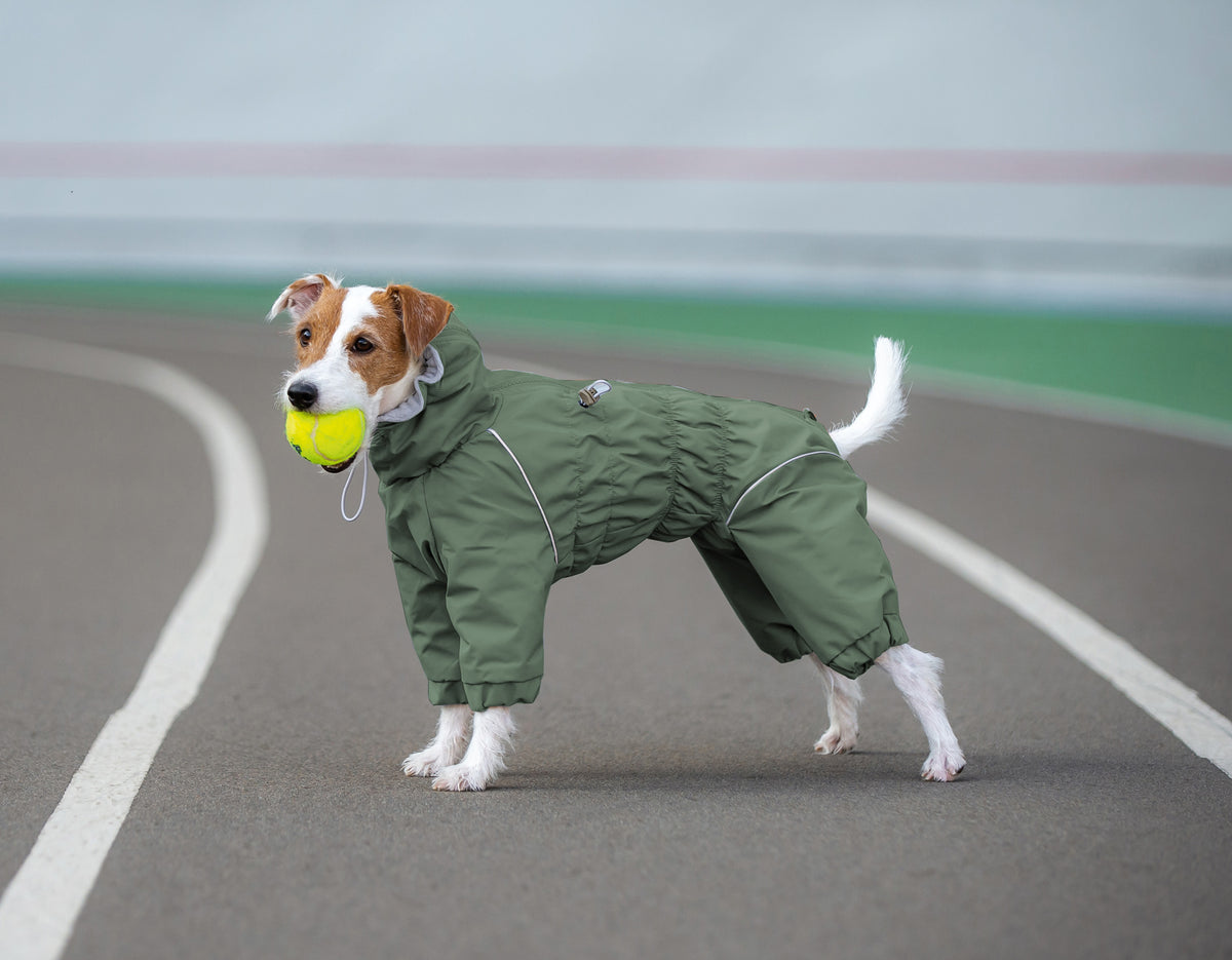 Waterproof Dog Raincoat "Monocolor" | 29 Sizes Cut for 6 Body Shapes