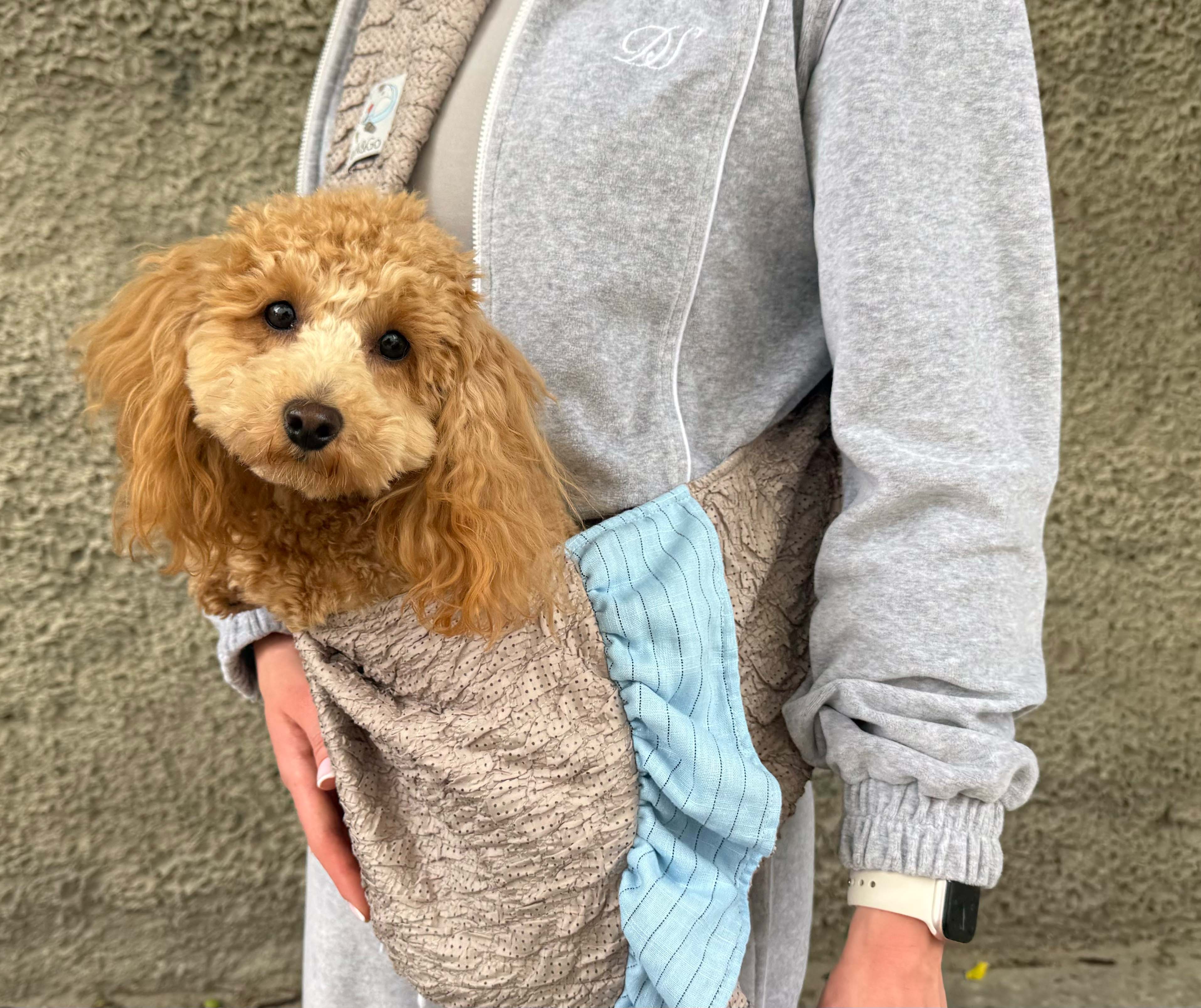 Teddy Summer Dog Sling Carrier – Breathable Linen Pet Carrier