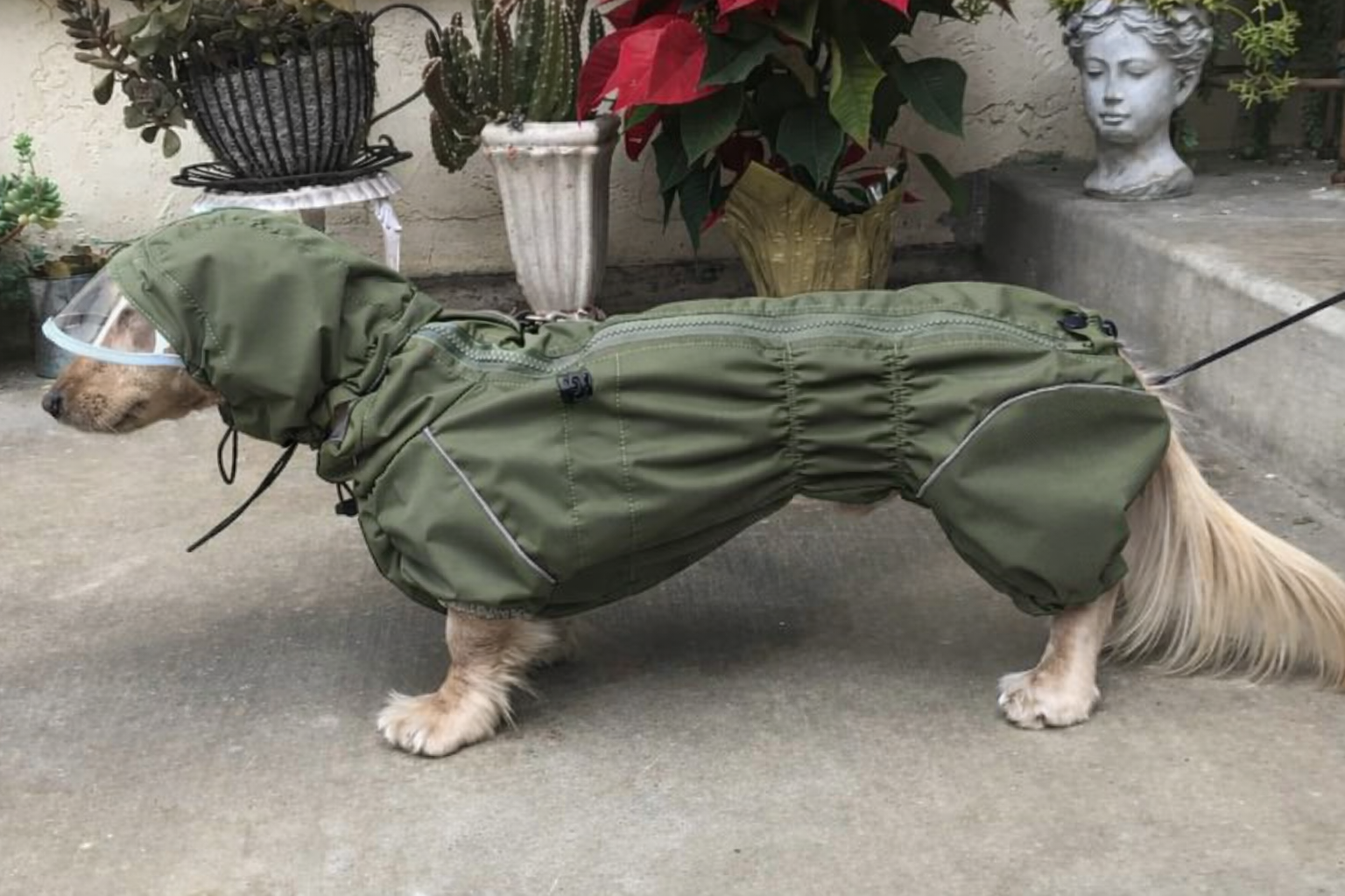 Waterproof Dog Raincoat for Dachshund "Monocolor"