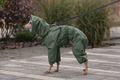 Waterproof Dog Raincoat for Italian Greyhound (Levrette) "Monocolor"