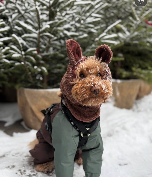 Teddy | Dog Snood Neck warmer for all Dog Sizes