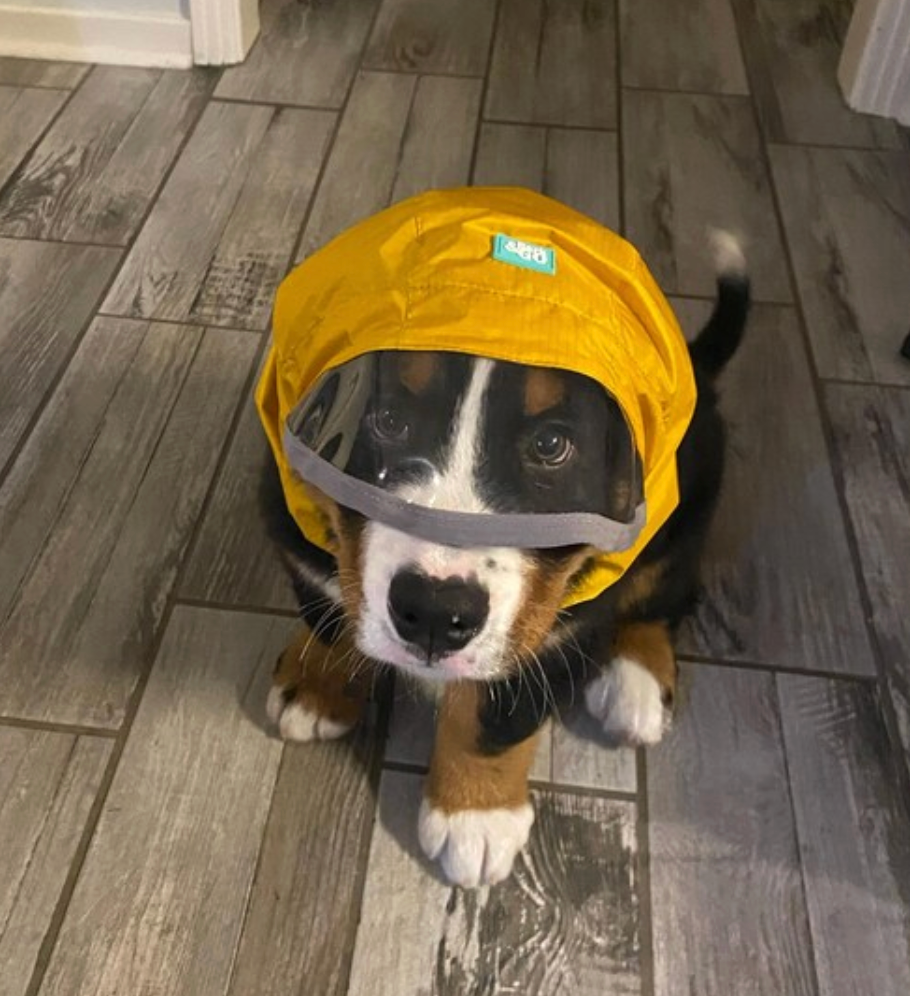 Rain Protection | Waterproof Dog Snood with Visor
