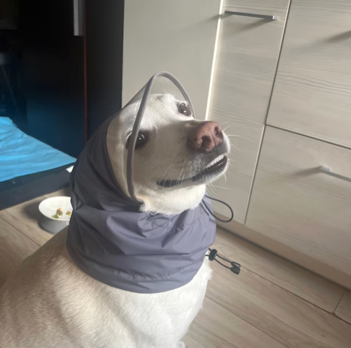 Rain Protection | Waterproof Dog Snood with Visor
