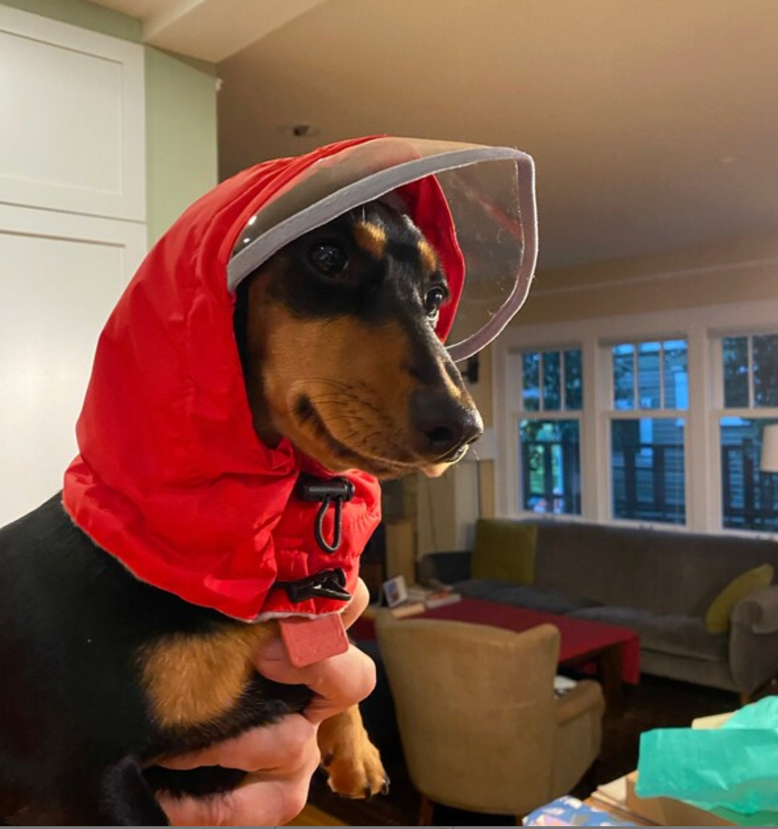Rain Protection | Waterproof Dog Snood with Visor