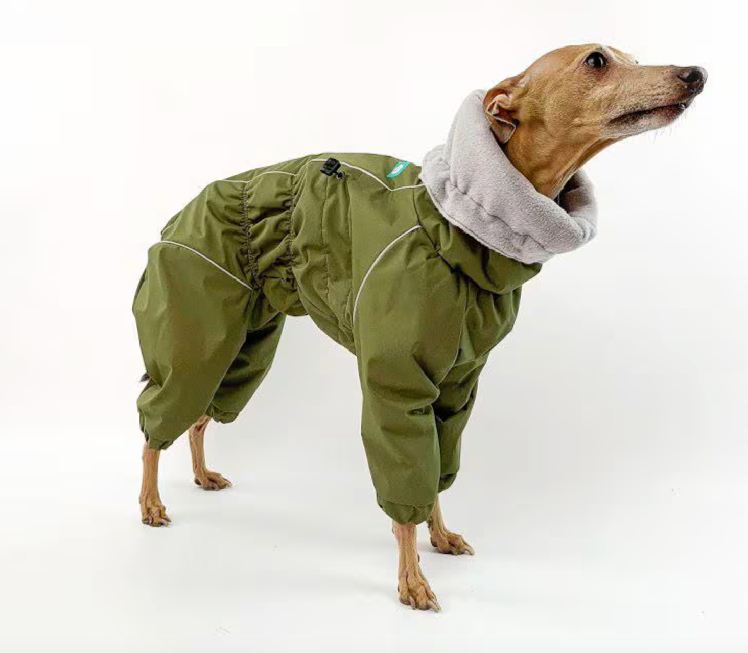 Waterproof Dog Raincoat for Italian Greyhound (Levrette) "Monocolor"