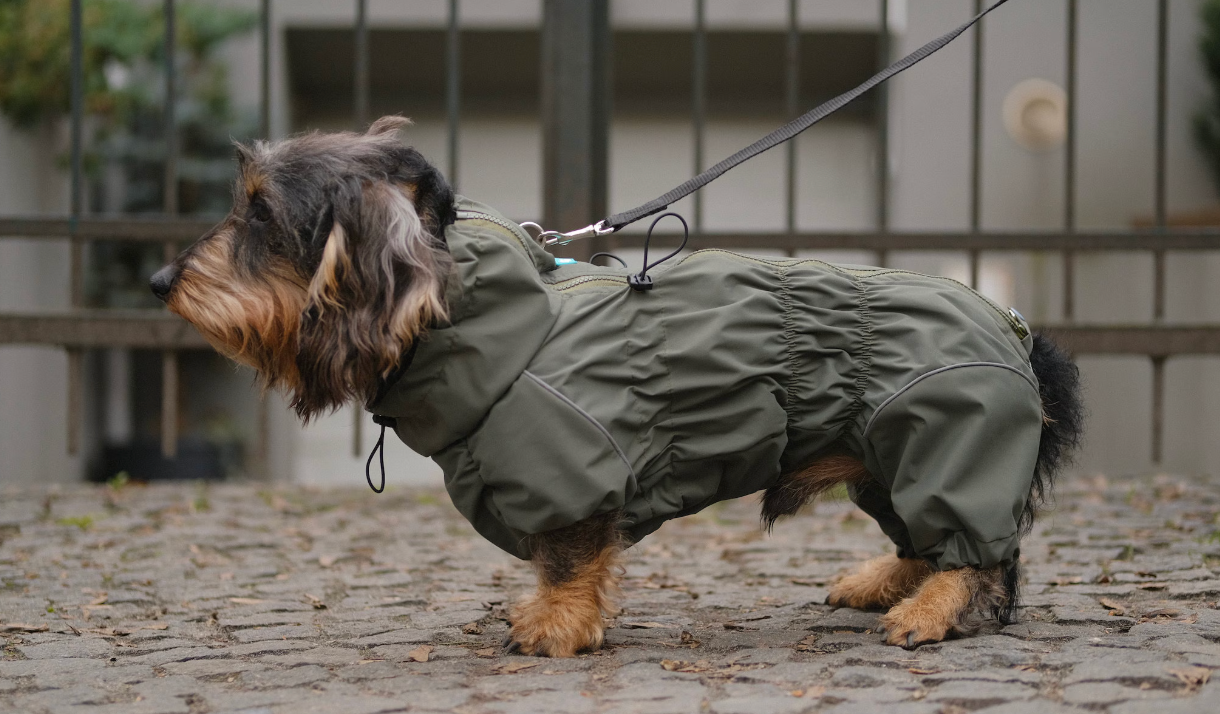 Waterproof Dog Raincoat for Dachshund "Monocolor"
