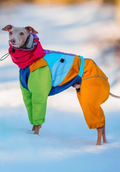 Waterproof Dog Raincoat for Italian Greyhound (Levrette) "Retro Style - 90-s"