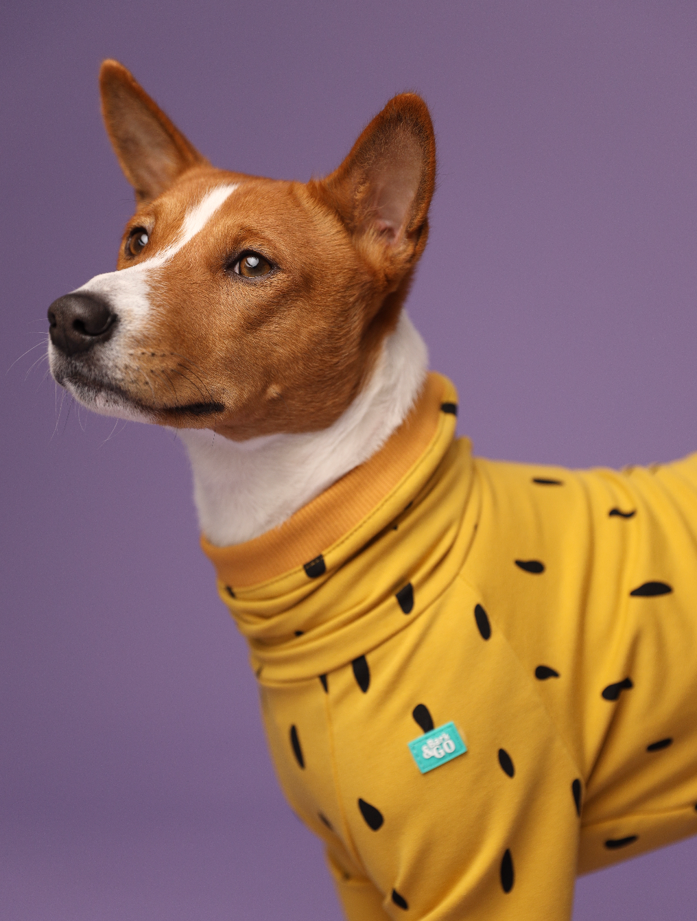 Soft Knit Dog Romper – Lightweight Spring & Summer Outfit