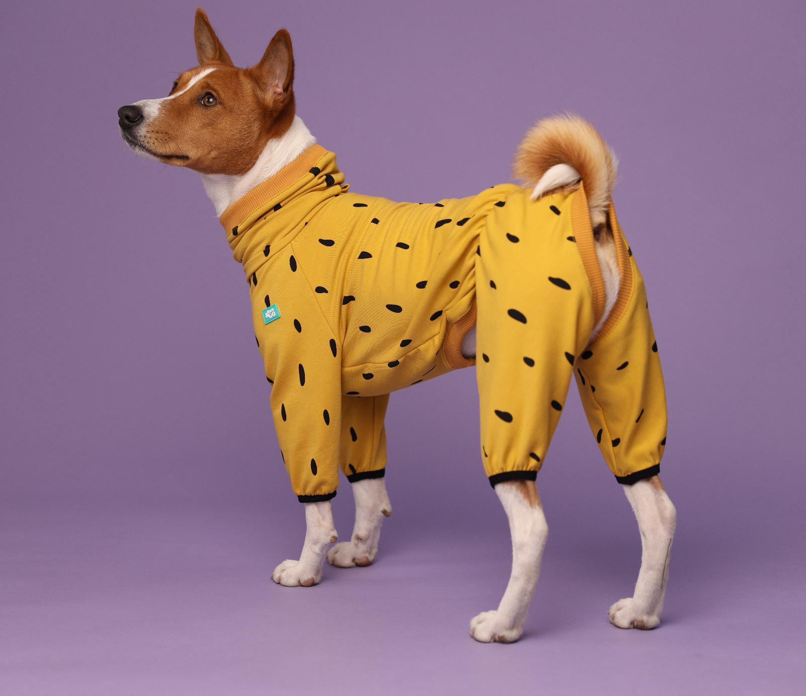 Soft Knit Dog Romper – Lightweight Spring & Summer Outfit