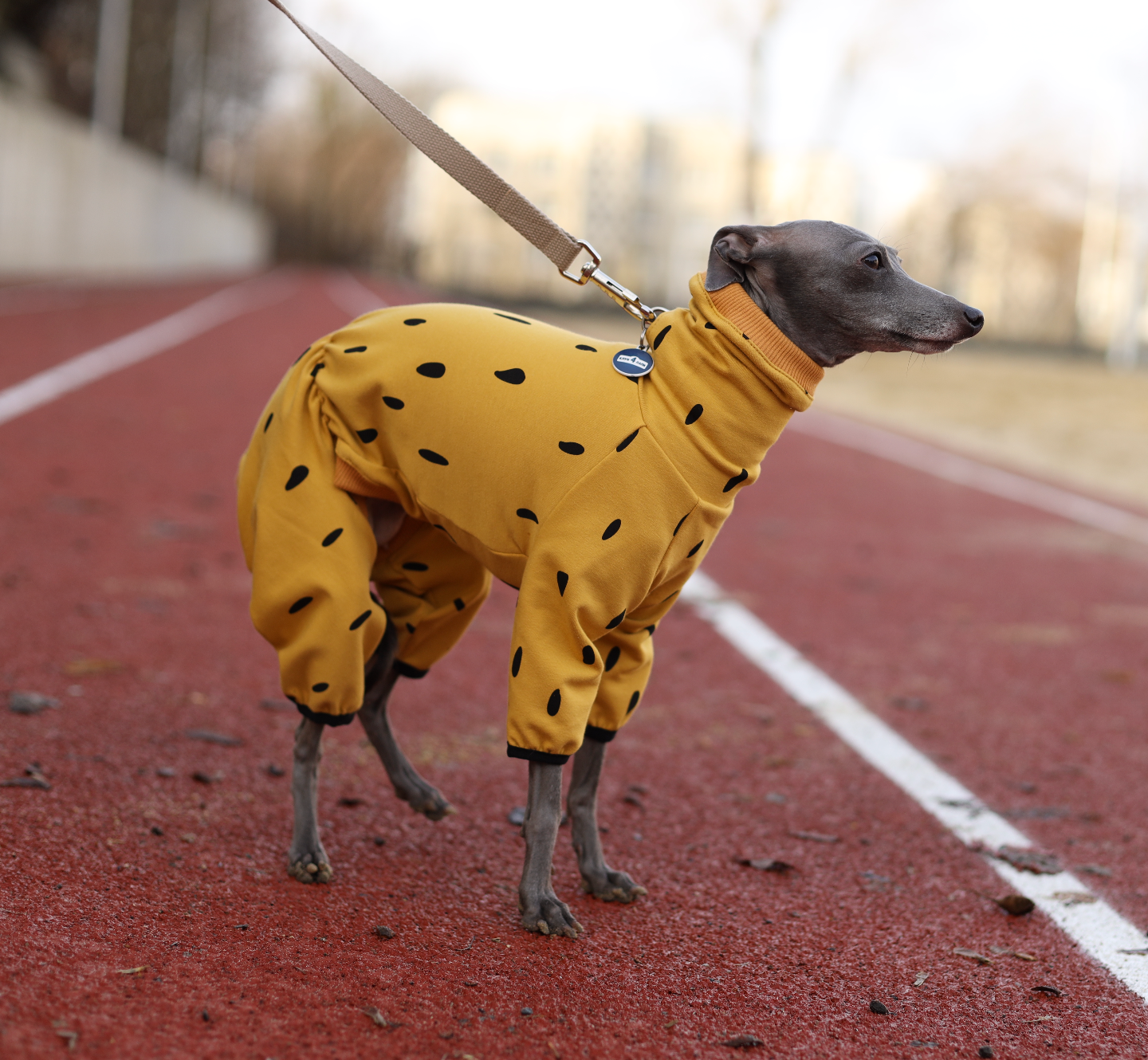 Soft Knit Dog Romper – Lightweight Spring & Summer Outfit