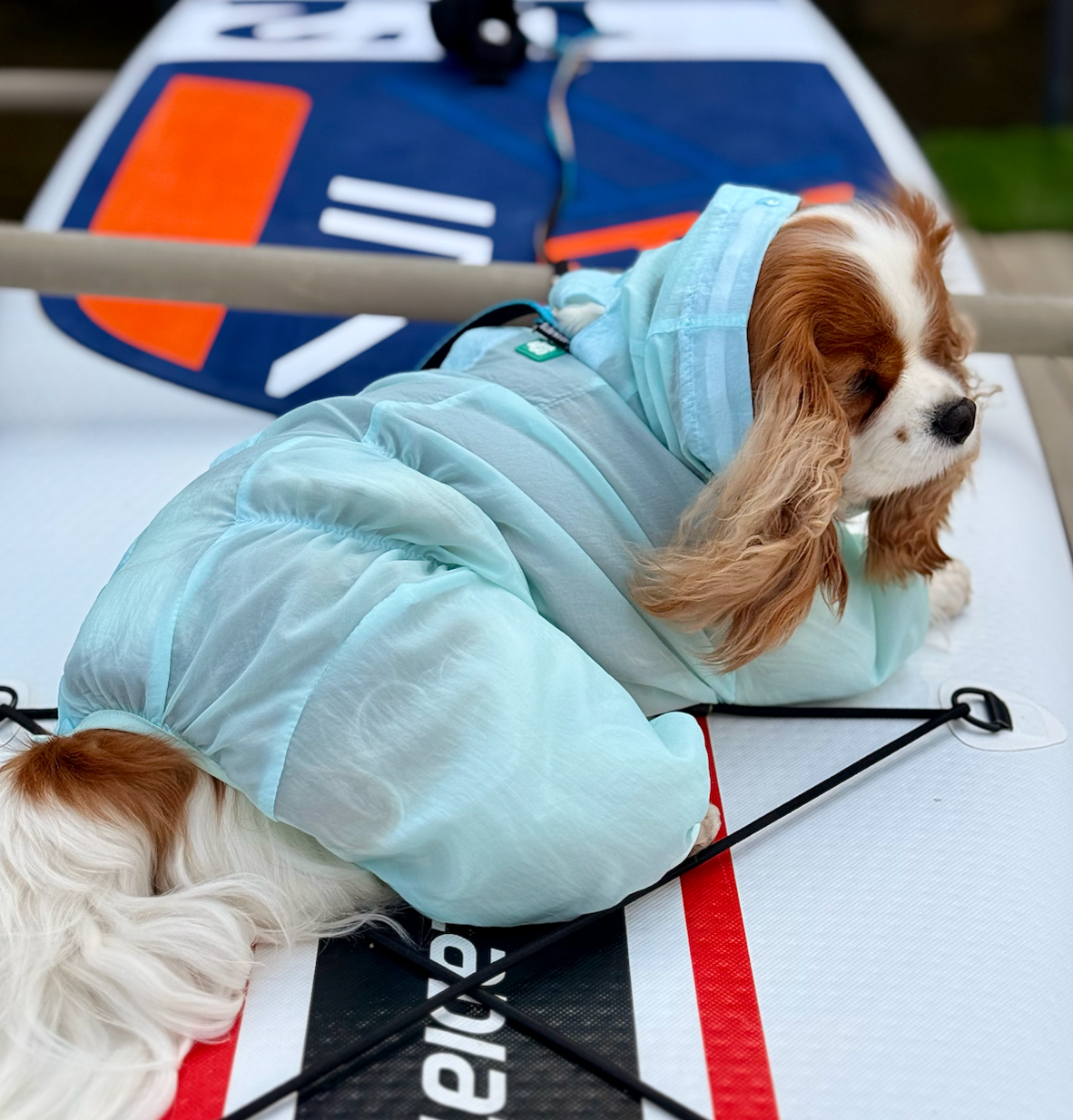 Mint Dog Romper Suit with Snood | Ultra-Light Summer Dog Duster