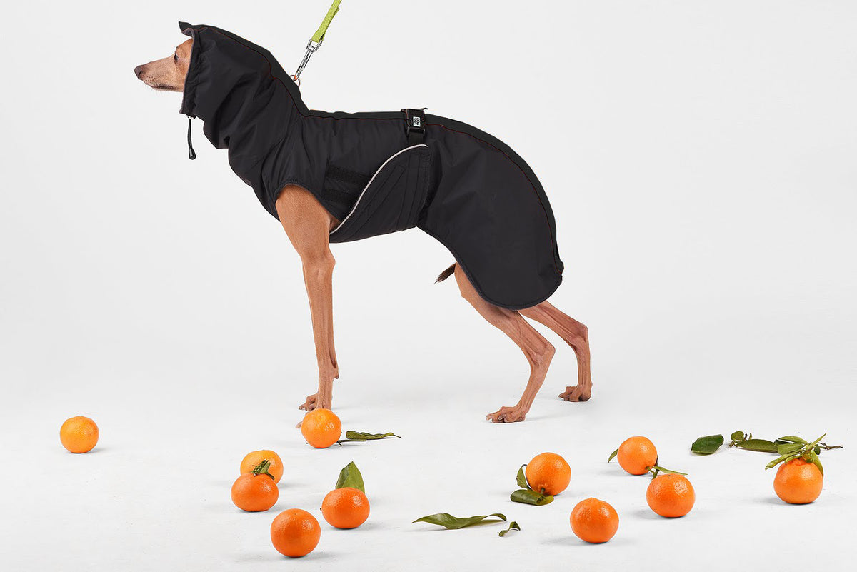Sleeveless Dog Raincoat "Monocolor" | 24 Sizes, 4 Colours