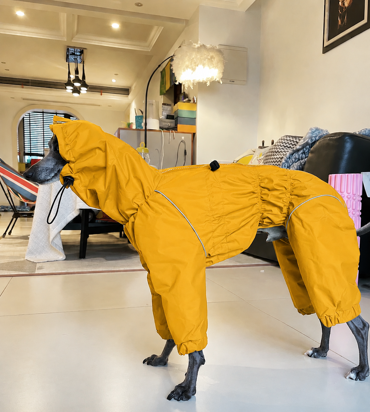 Italian Greyhound Raincoat Mustard | Waterproof Zip Full-Body Dog Rain Suit