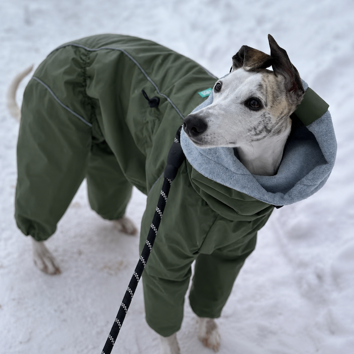 Whippet & Greyhound Raincoat "Monocolor" | Waterproof Full-Body Dog Rain Suit