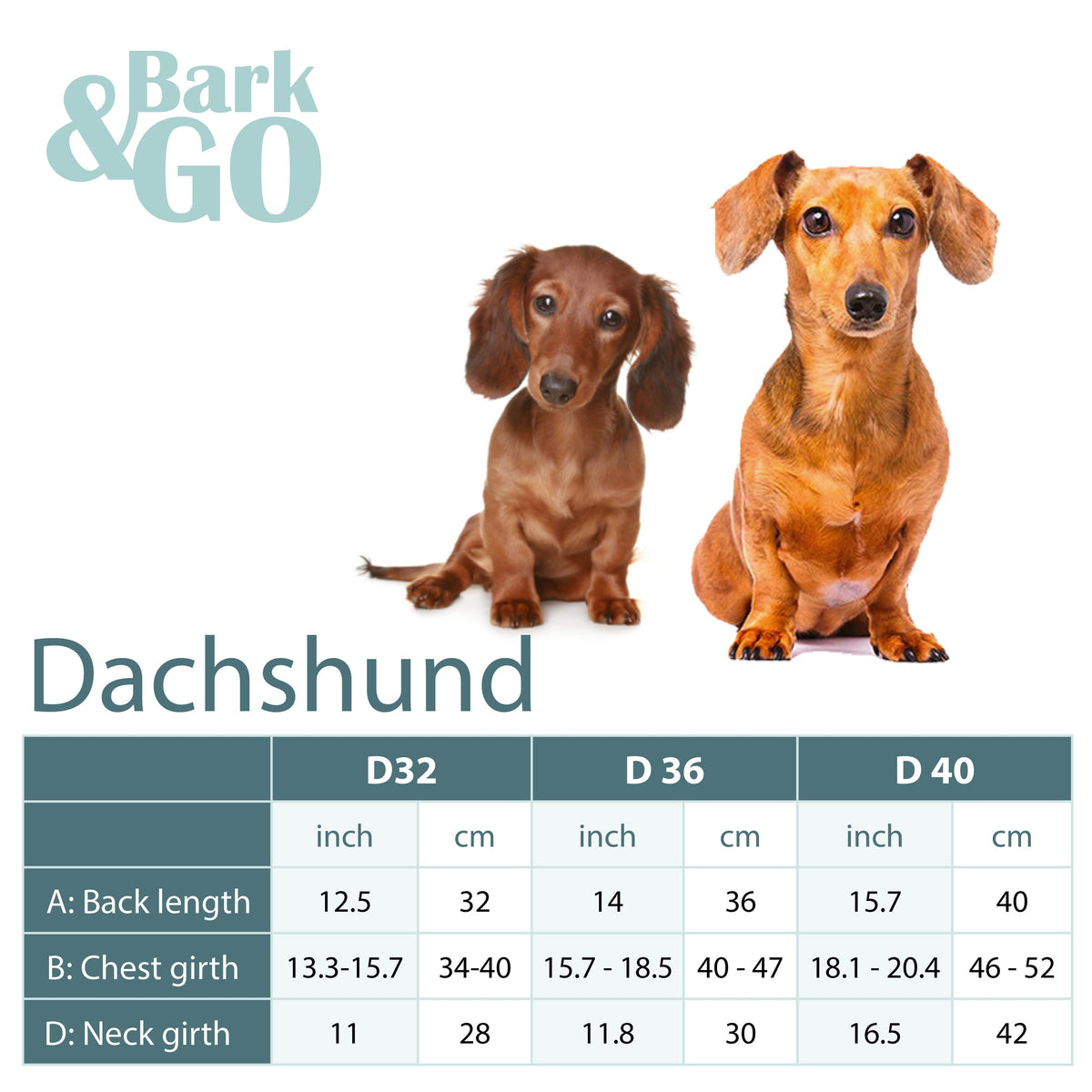 Dachshund raincoat size chart: D32, D36 and D40 with back length and chest girth in cm and inches