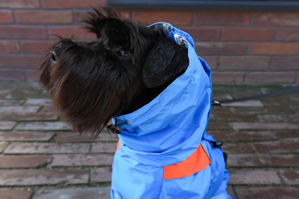 Waterproof Dog Raincoat "Perfect Match Blue" | 29 Sizes