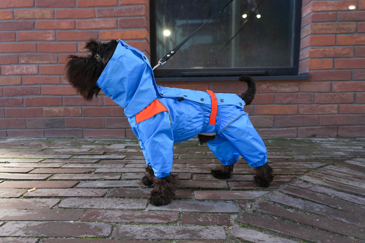 Waterproof Dog Raincoat "Perfect Match Blue" | 29 Sizes