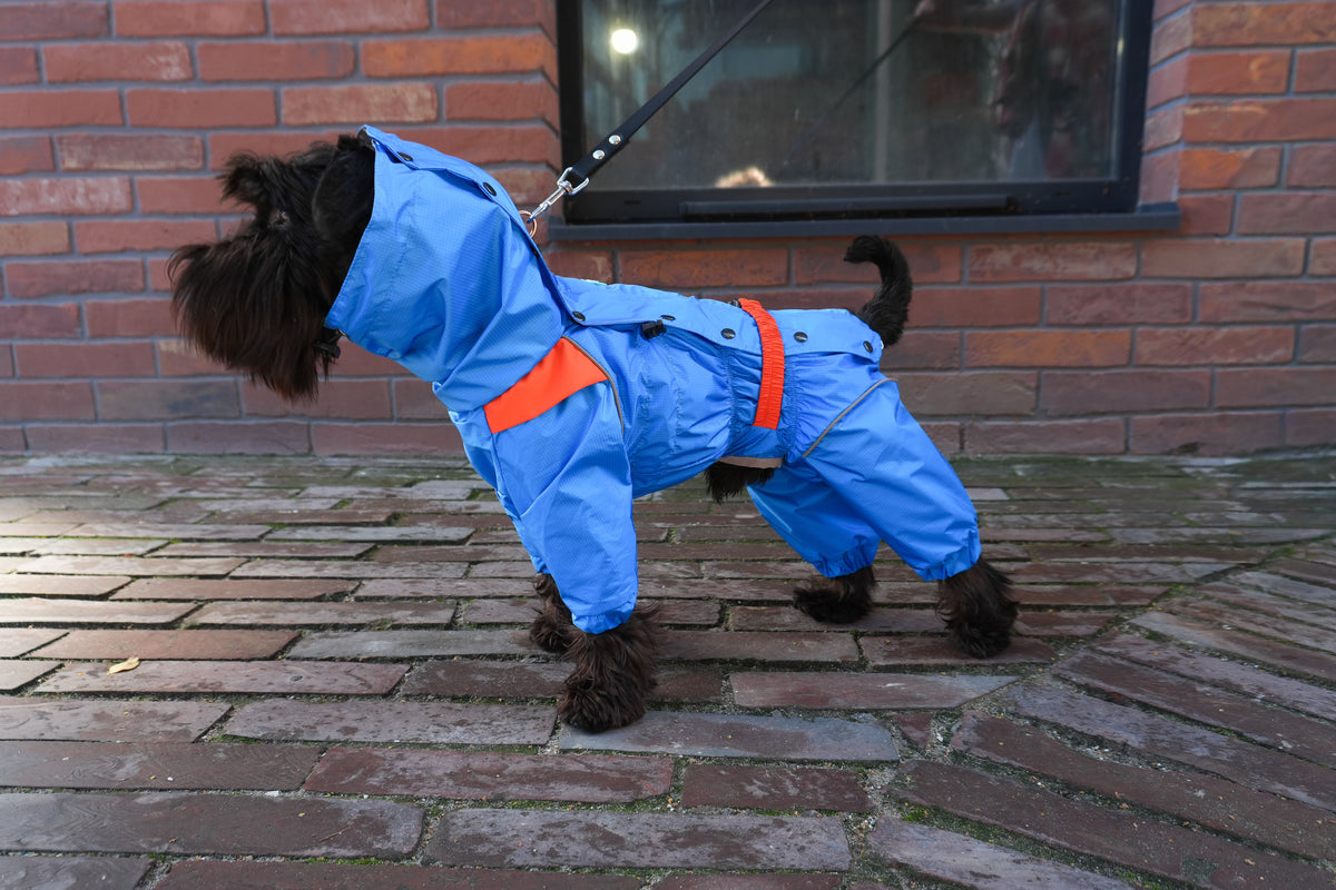 Waterproof Dog Raincoat "Perfect Match Blue" | 29 Sizes