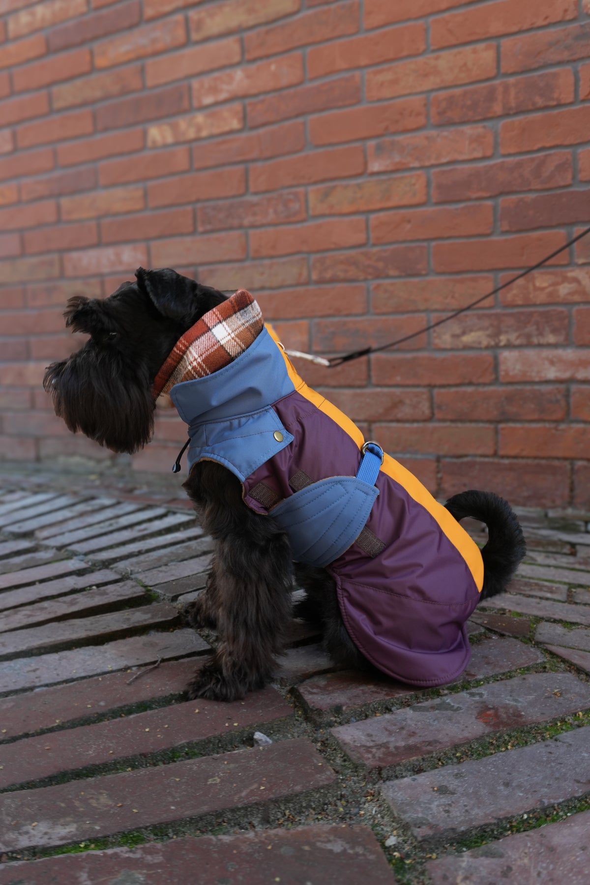 Sleeveless Dog Raincoat "Dark Academia Hygge" | 24 Sizes