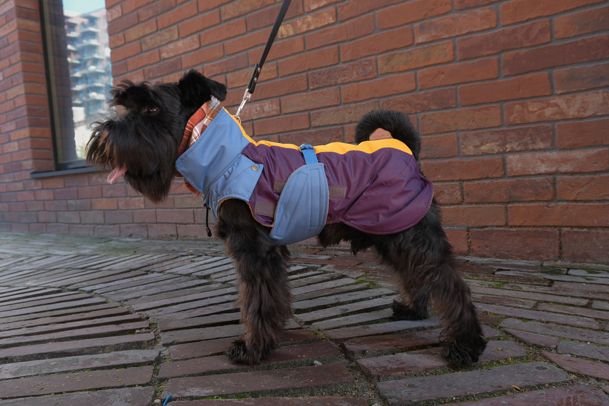 Sleeveless Dog Raincoat "Dark Academia Hygge" | 24 Sizes