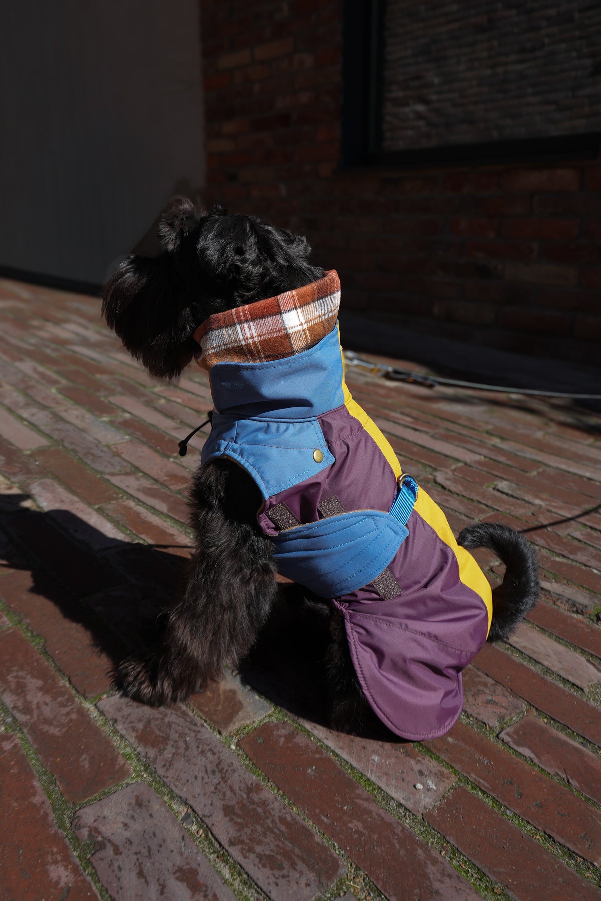 Sleeveless Dog Raincoat "Dark Academia Hygge" | 24 Sizes