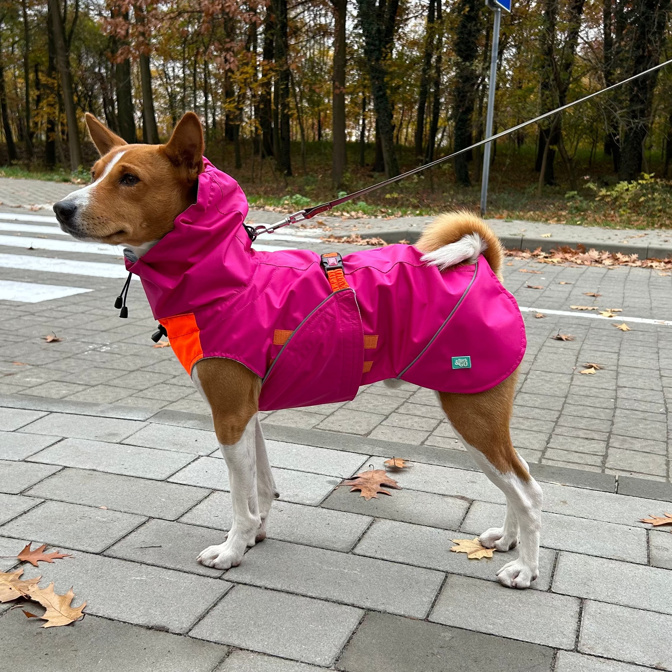 Sleeveless Dog Raincoat "Perfect Match" | Pink or Blue, 24 Sizes
