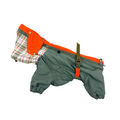 Waterproof Dog Raincoat for All Breeds and Sizes "Dark Academia Sweet November"