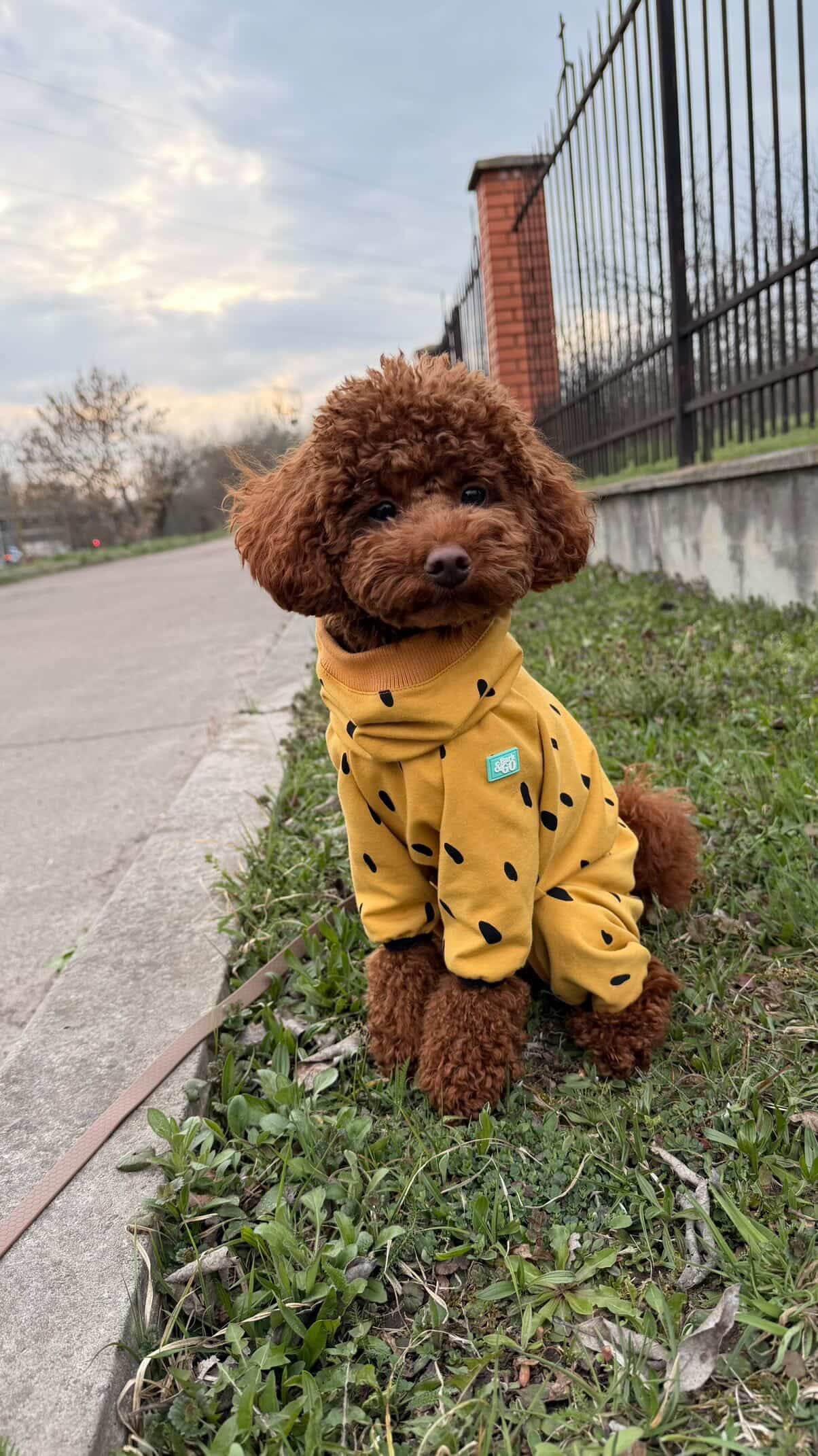 Soft Knit Dog Romper – Lightweight Spring & Summer Outfit