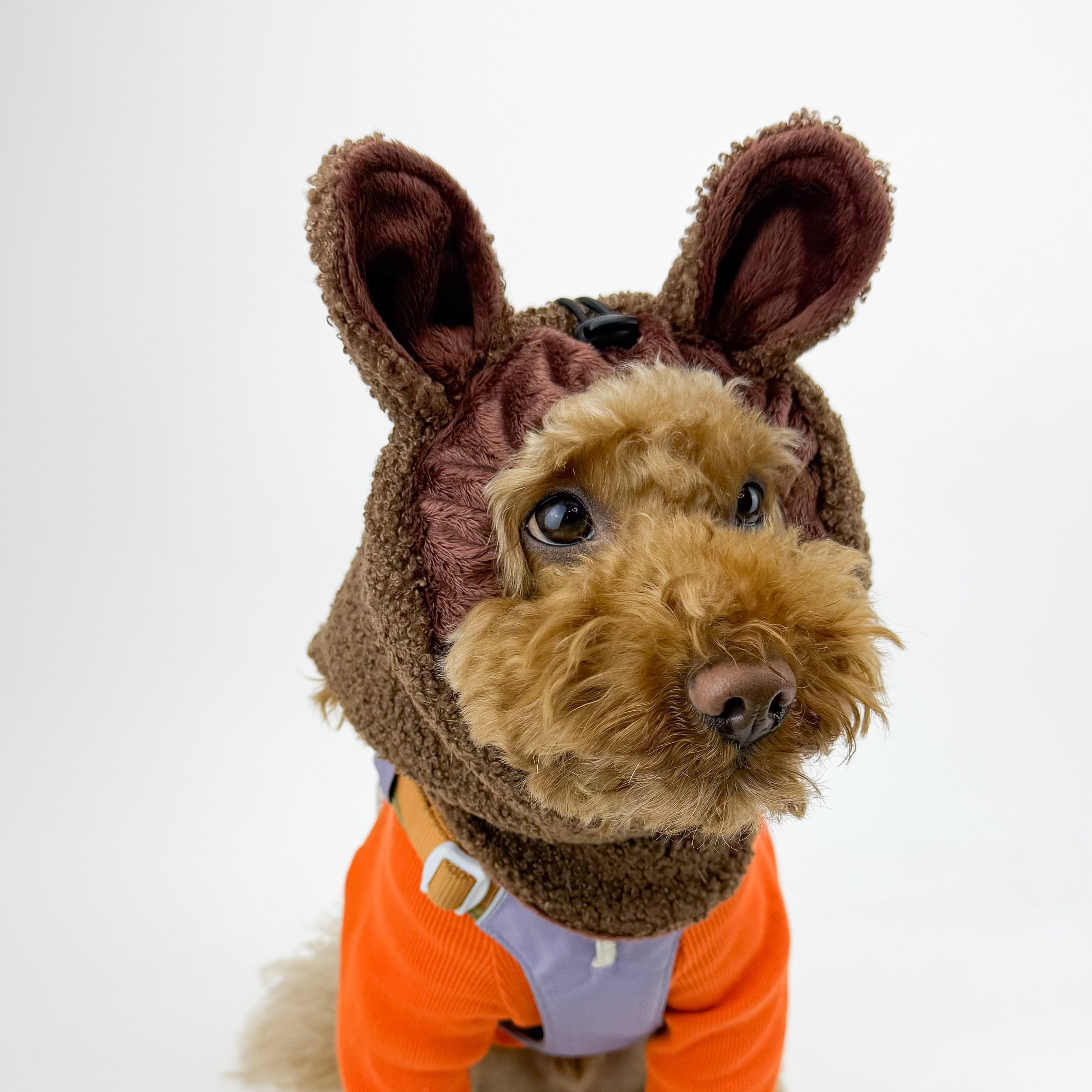 Teddy | Dog Snood Neck warmer for all Dog Sizes