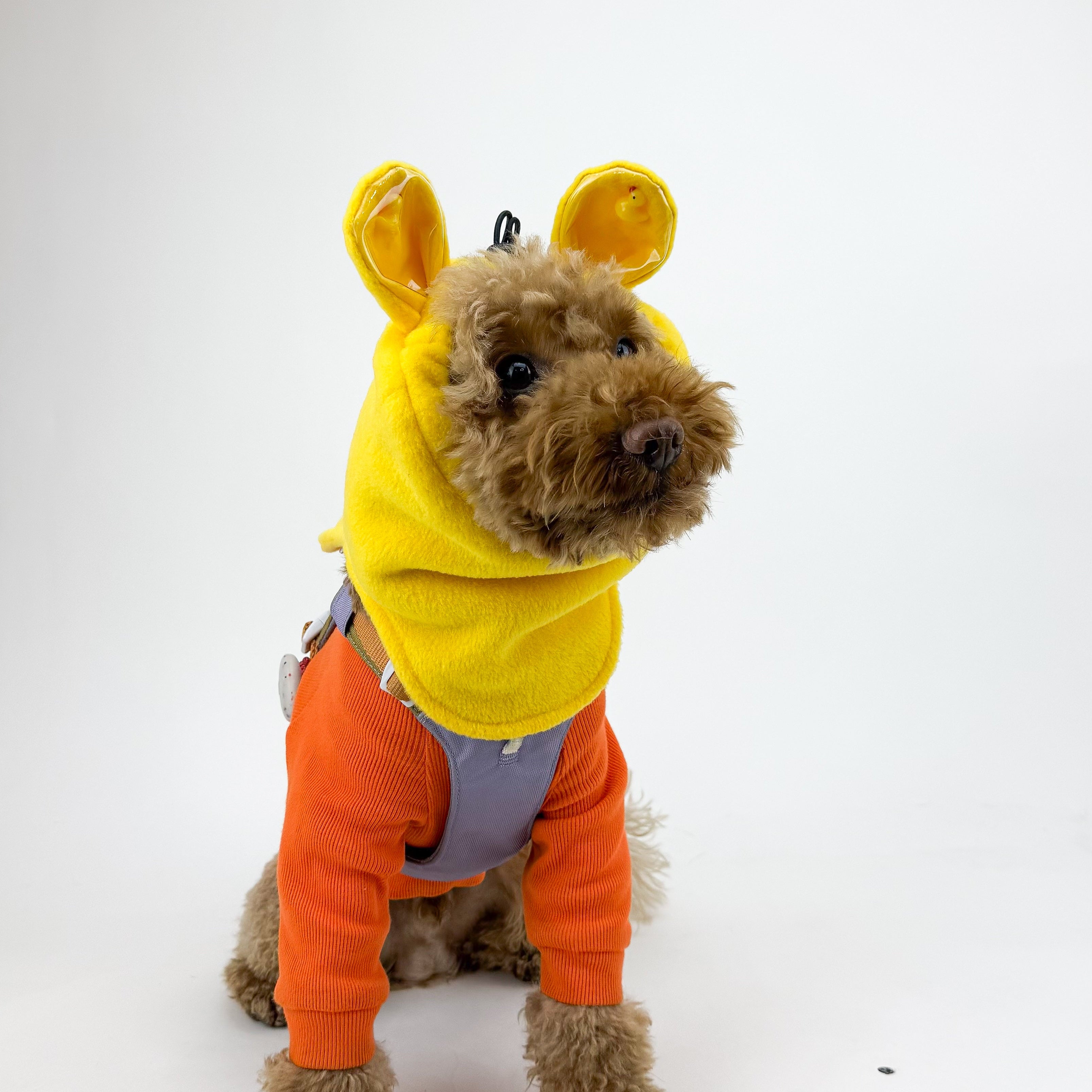 Duckhood | Dog Snood Neck warmer for all Dog Sizes