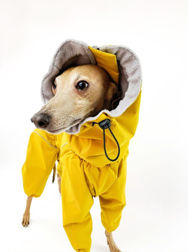 Italian Greyhound Raincoat Mustard | Waterproof Zip Full-Body Dog Rain Suit