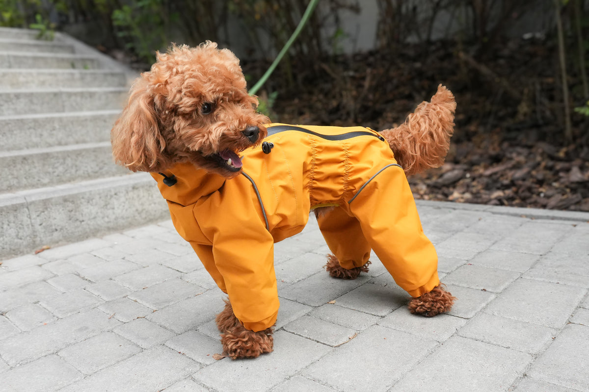 Waterproof Dog Raincoat "Monocolor" Mustard | Waterproof Zip, 29 Sizes