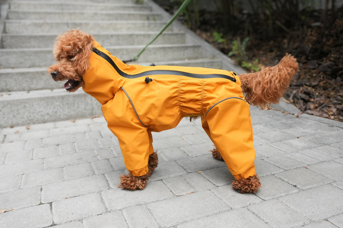 Waterproof Dog Raincoat "Monocolor" Mustard | Waterproof Zip, 29 Sizes