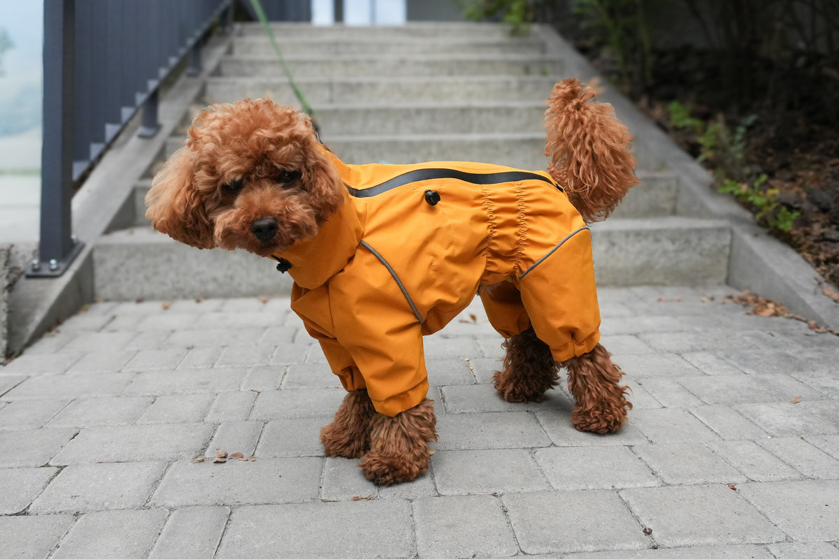 Waterproof Dog Raincoat "Monocolor" Mustard | Waterproof Zip, 29 Sizes