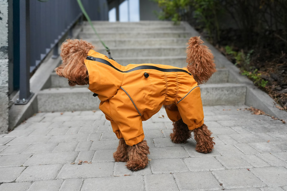 Waterproof Dog Raincoat "Monocolor" Mustard | Waterproof Zip, 29 Sizes
