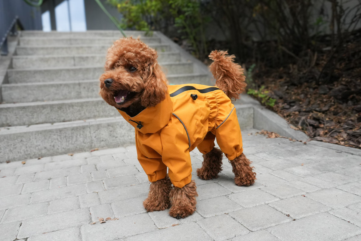 Waterproof Dog Raincoat "Monocolor" Mustard | Waterproof Zip, 29 Sizes
