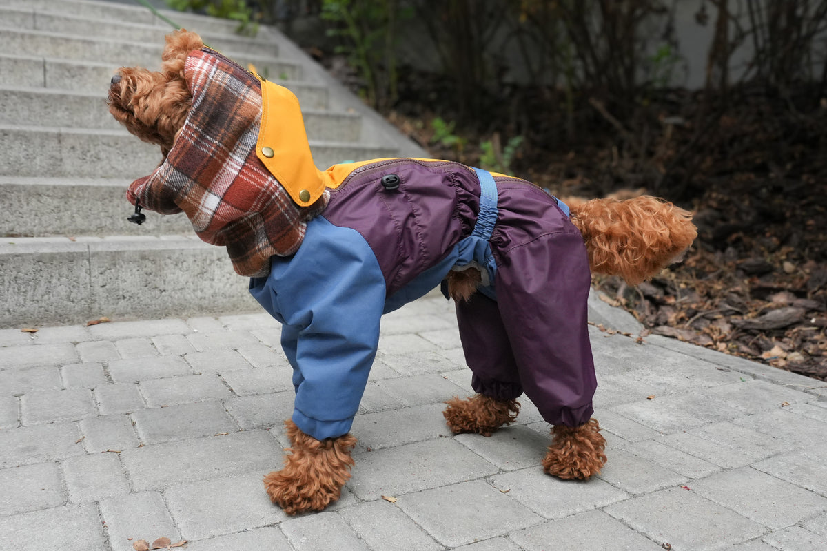 Waterproof Dog Raincoat for All Breeds and Sizes "Dark Academia Hygge"