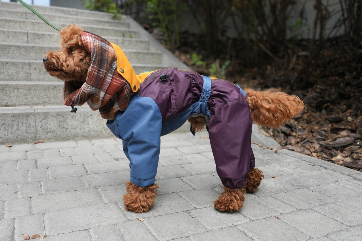 Waterproof Dog Raincoat for All Breeds and Sizes "Dark Academia Hygge"