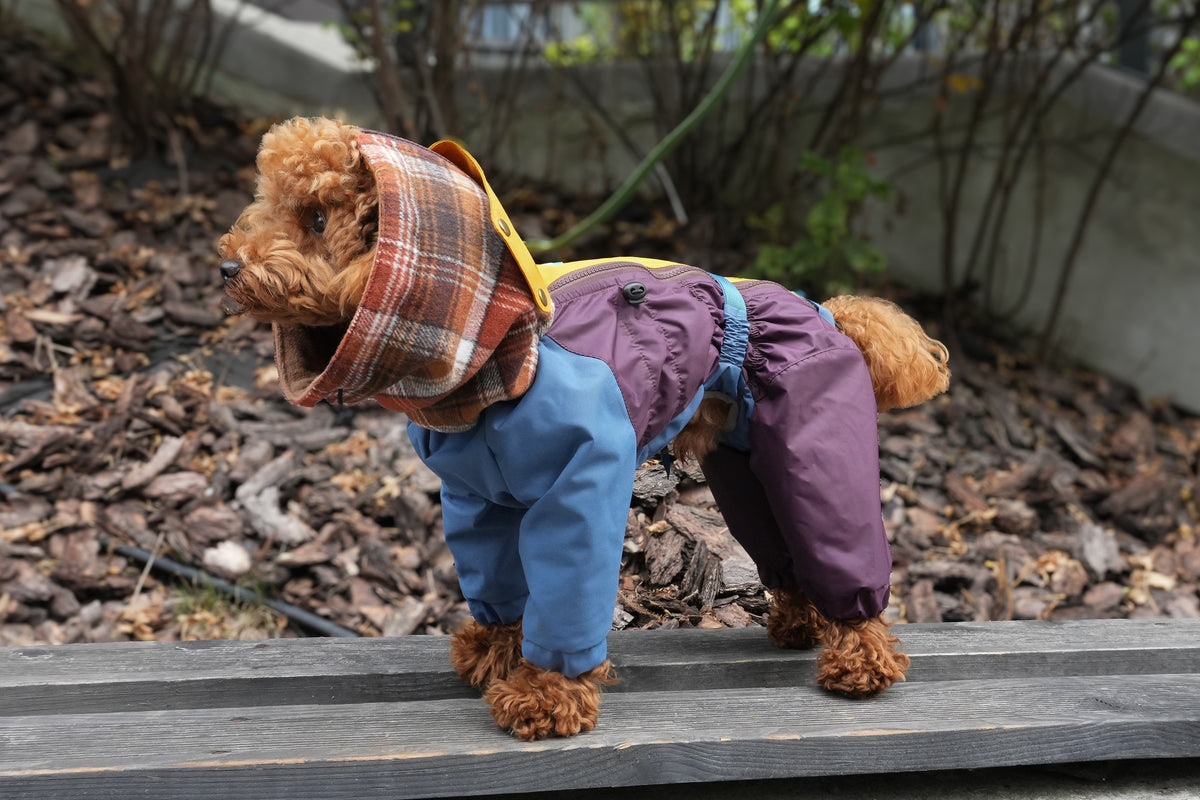 Waterproof Dog Raincoat for All Breeds and Sizes "Dark Academia Hygge"