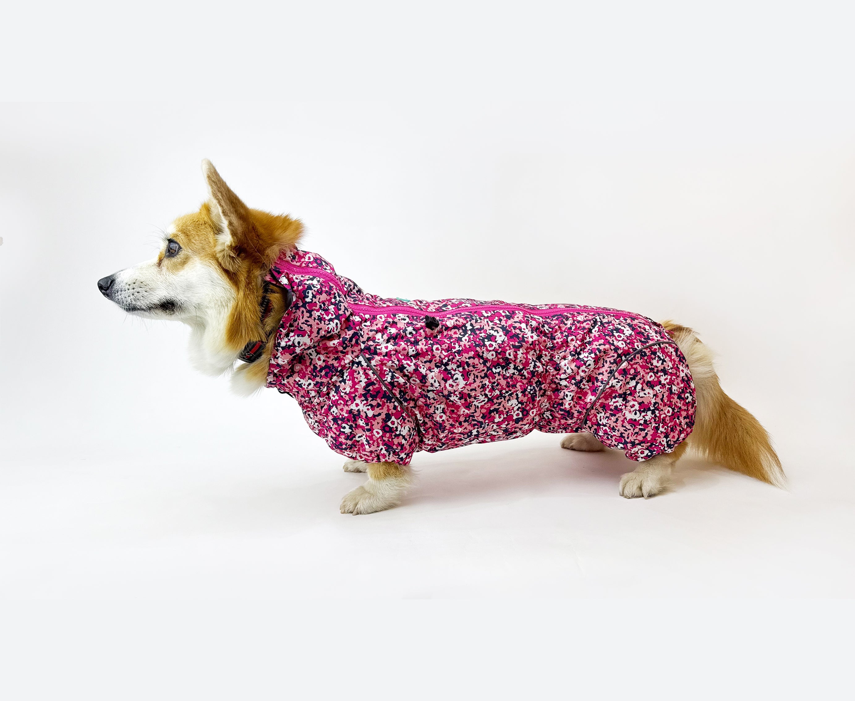 Waterproof Dog Raincoat for Corgi  "neon Pink"
