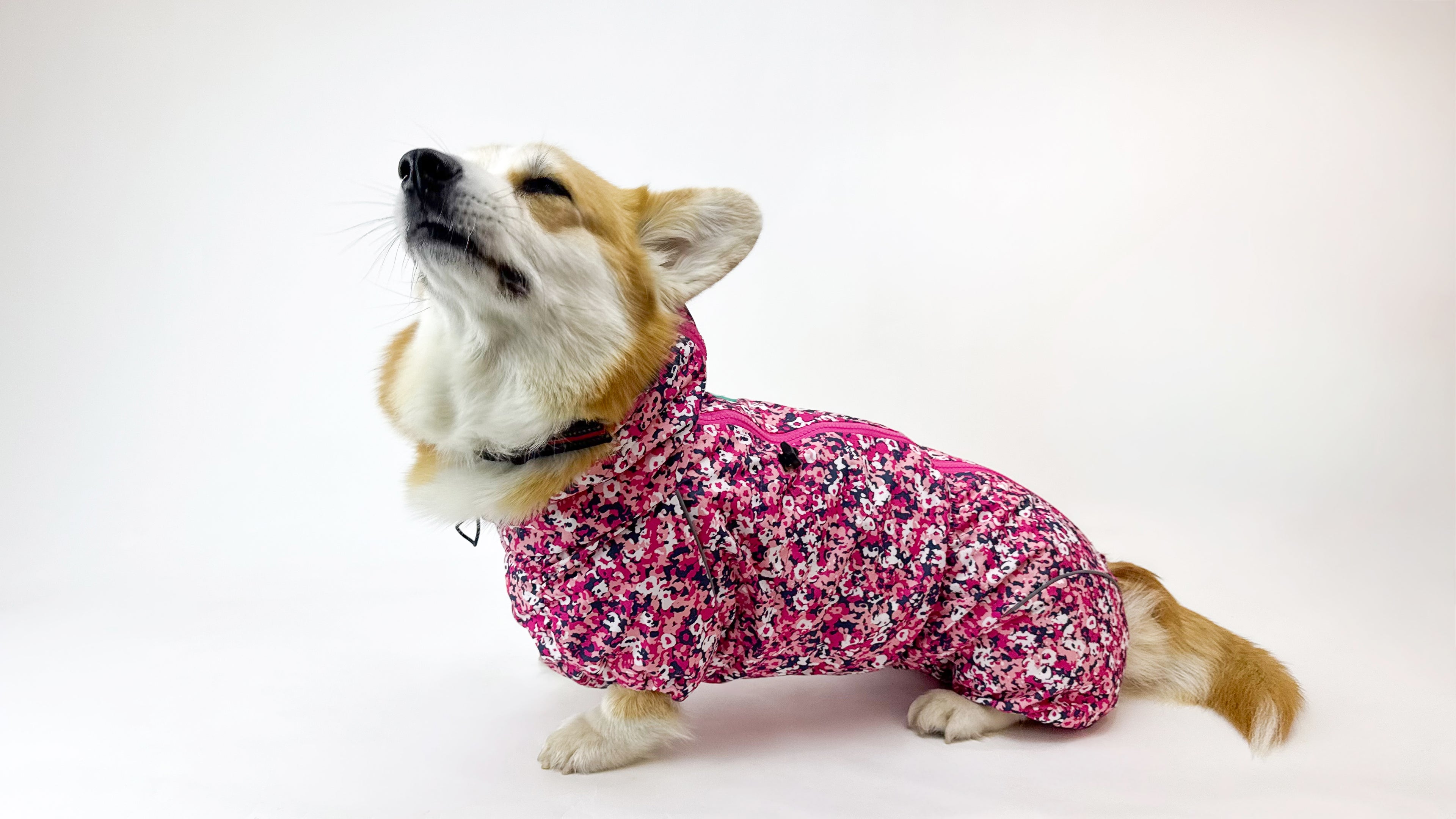Waterproof Dog Raincoat for Corgi  "neon Pink"