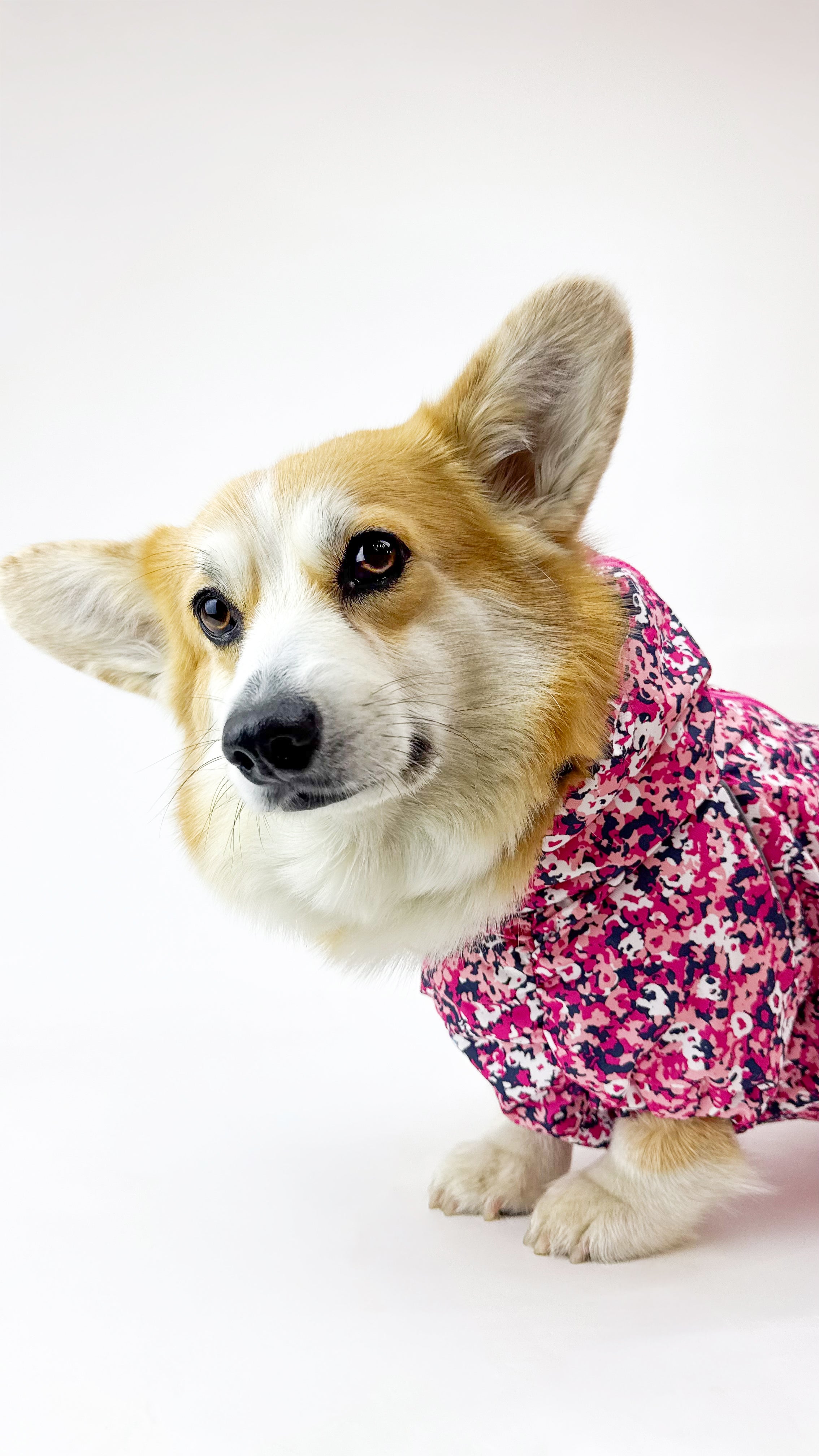 Waterproof Dog Raincoat for Corgi  "neon Pink"