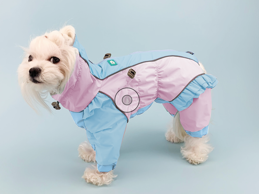 Small white dog in the Bubble Gum raincoat, powder pink and pale blue with ruffles over the hind legs