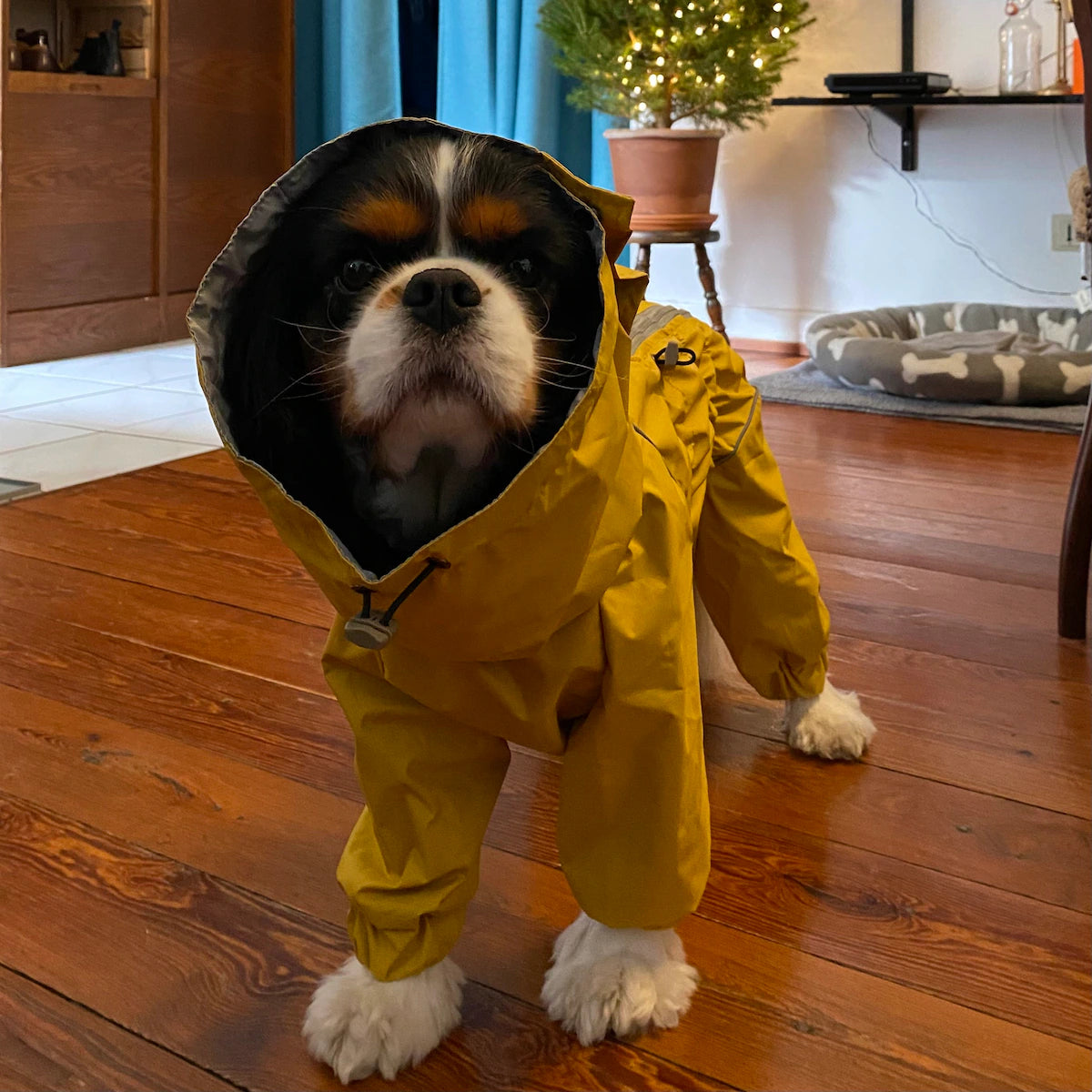 Waterproof Dog Raincoat for Spaniels "Monocolor"