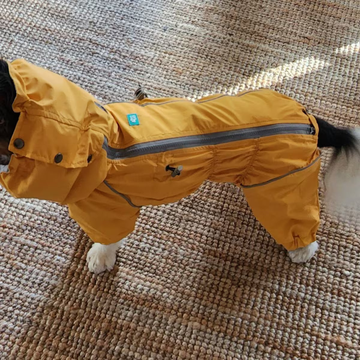 Waterproof Dog Raincoat for Spaniels "Monocolor"