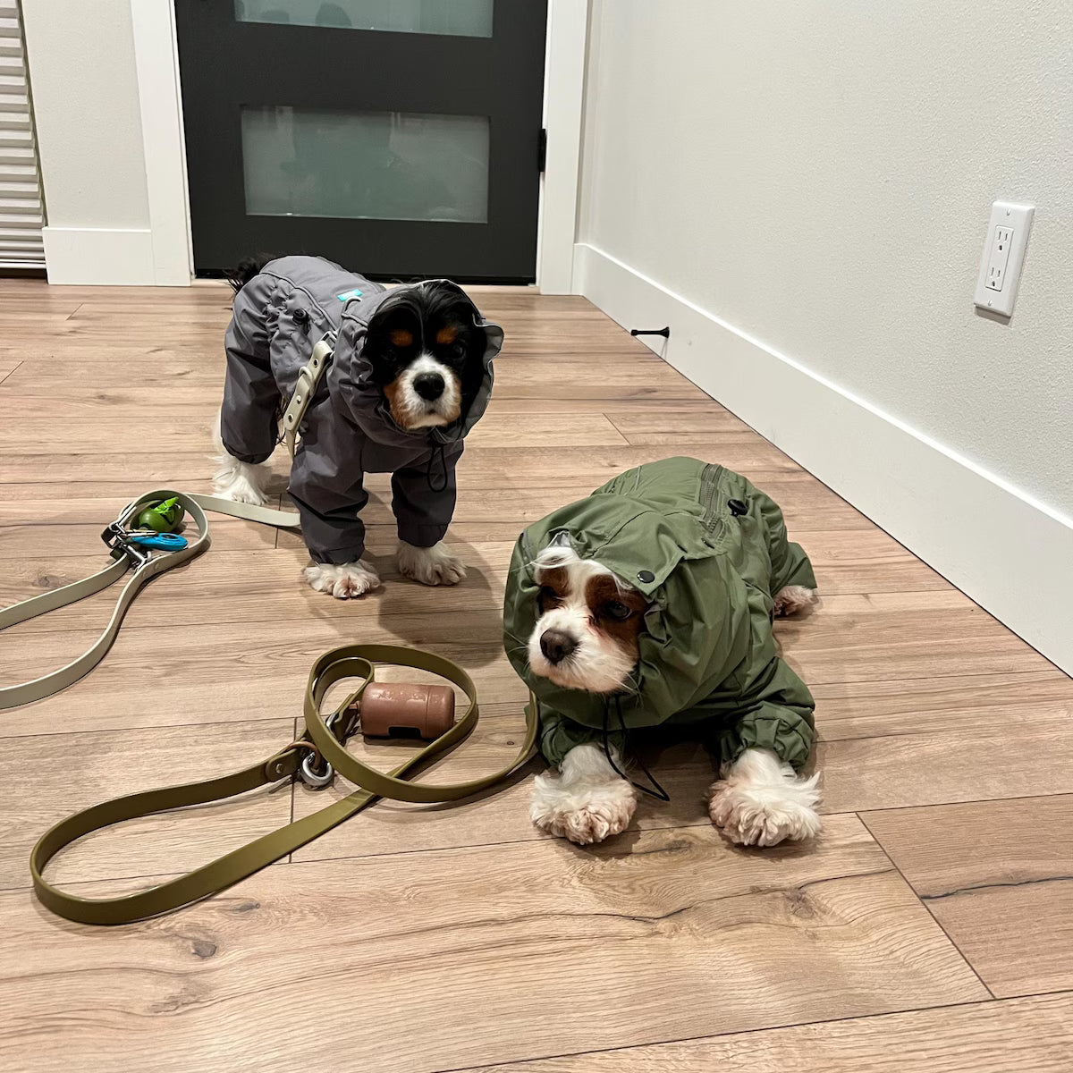 Waterproof Dog Raincoat for Spaniels "Monocolor"