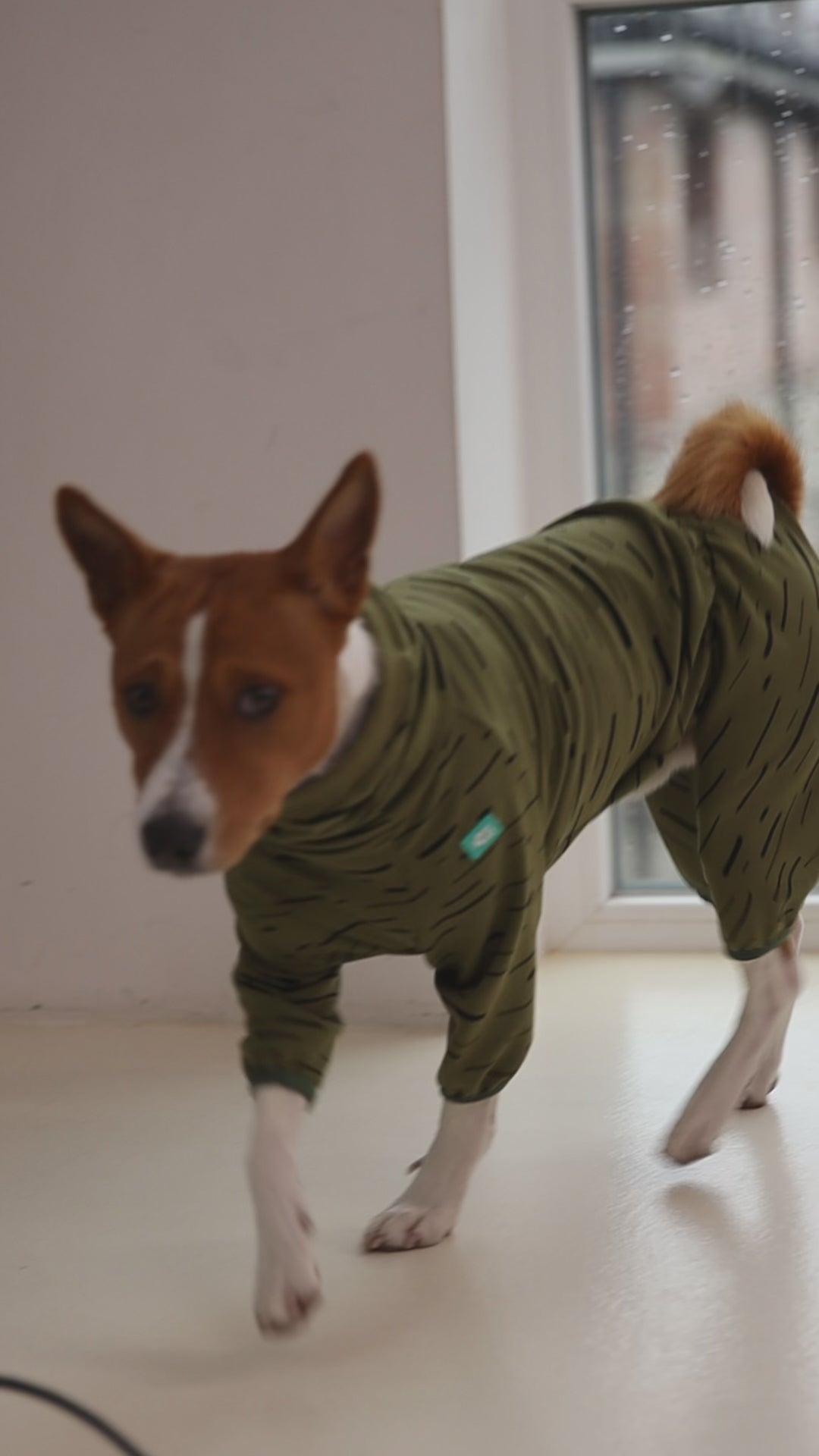 Soft Knit Dog Romper – Lightweight Spring & Summer Outfit