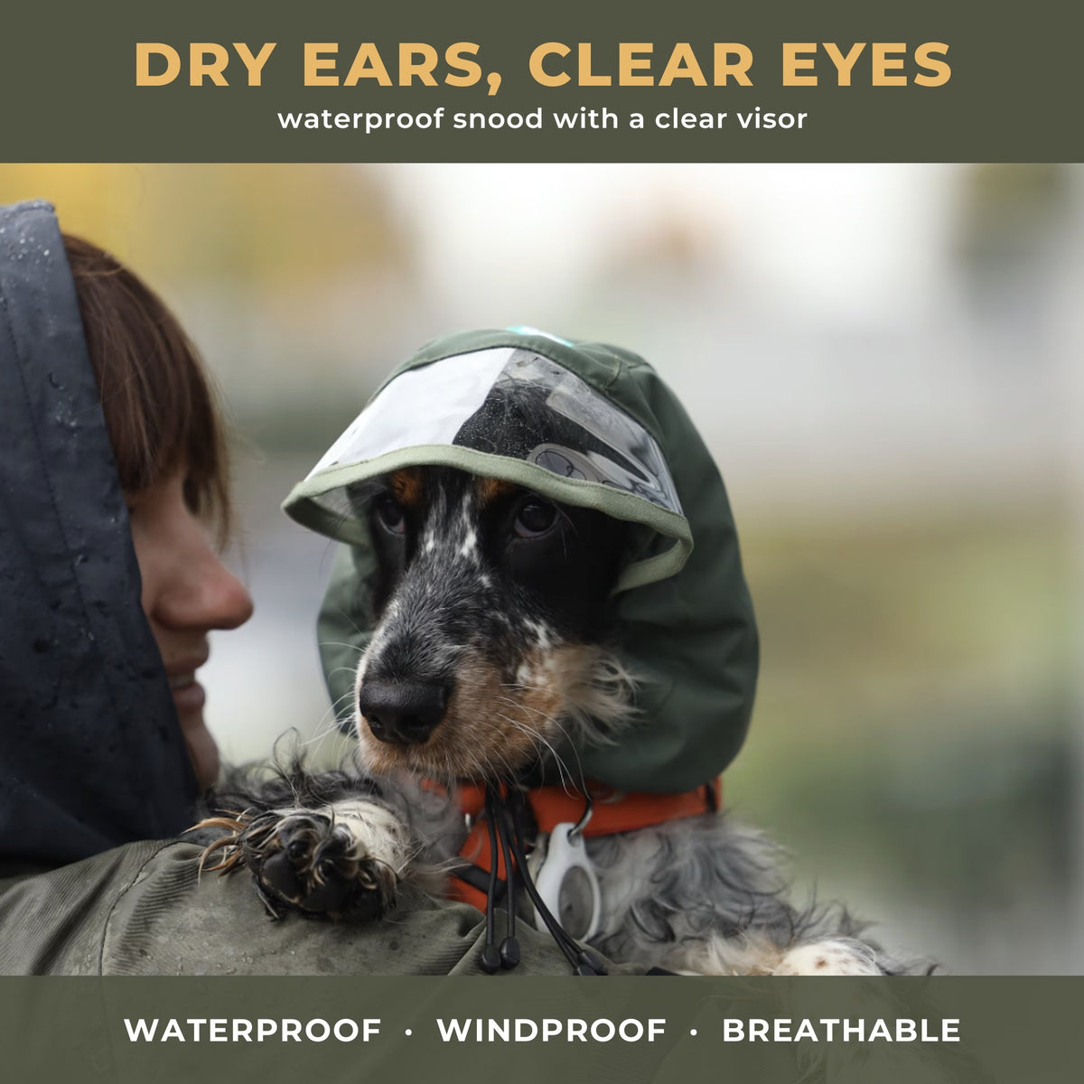 Spaniel wearing an olive green waterproof dog snood with a clear visor in the rain